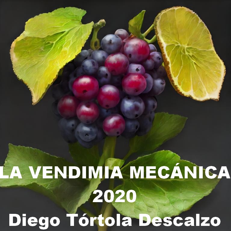 Racimo de uvas